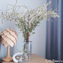 Snow willow fresh branches soaked in water to open real flowers water to raise inch inch golden branch vase dry branches willow branches dry flower bag to bloom in water