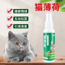 Catnip spray can be eaten to soothe the mood of hairy cats catnip sticky human catnip inducer