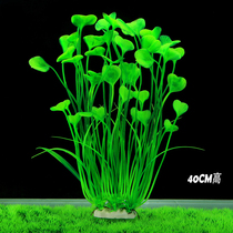 Fish tank simulation water grass decoration landscape Aquarium Kelp fake water grass lazy seagrass plastic flowers and grass front and rear scenery