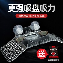 Tortoise drying table turtle platform climbing platform floating island climbing ladder aquarium landscaping Brazilian tortoise back table