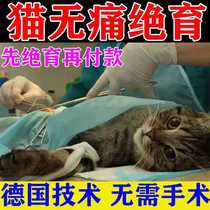 Cat Forbidden Love Powder Special Hair Care Period Public Cat Pet Quiet Desire to Suppress Cat Urine Taunted by Desperate Love Affair