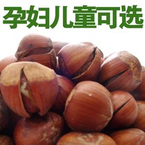 New Northeast Hazelnut New Year Nuts Fried Original Pregnant Women Snacks Dried Fruits Fried 500g