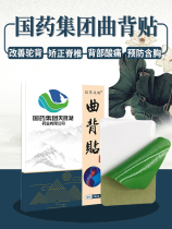 Chinese medicine hunchback correction curve back sticking spine spine spine correction body posture sitting correction device back posture