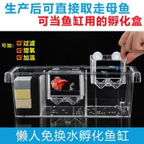 Suspended isolation box zebrafish breeding box Fry Culture Box mother fish breeding tank fish baby turtle seedlings