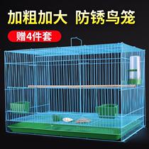 Chicken cage household White Pigeon pigeon cage breeding cage large outdoor pigeon cage second layer thick stainless steel Birdcage Pigeon House