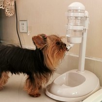 Pet non-wet mouth dog water dispenser automatic hanging bear water dispenser cat water feeder vertical water bottle supplies