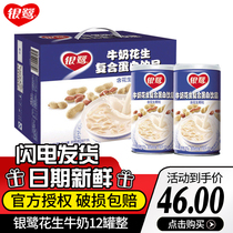 May produce Yinlu eight treasure porridge 12 cans of milk peanut compound protein beverage peanut porridge packaging random
