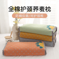 Buckwheat Pillow Full Buckwheat Shell Student Hard Ram Male cervical spine Child small number assisting Sleep cute Fang Pillow Dormitory Girl