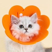 Cat Item Circle Elisabeth ring young cat anti-licking headgear Soft Puppy Ilie Elise Shame Neck Neuter Neuter