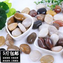 Natural pebbles rain stone colorful stone fish tank landscaping flower pot multi-meat paving paving road gardening Villa decoration