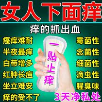 (1 paste to relieve itching) Tianshan Snow Lotus traditional Chinese medicine pad detoxification sterilization and itching to remove odor