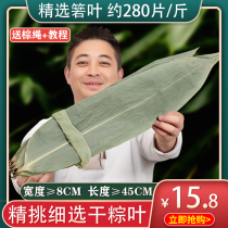 The leaves of the leaves of the leaf free of fresh and large 3 kg of the leaf of the leaf of the leaf