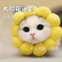 10 kinds of cat headgear sunflower rabbit cute anti-bite anti-licking pet dog headdress hat birthday dress
