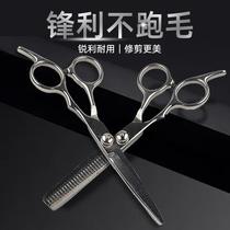 Pet Beauty Scissors Suit Professional Pooch Cut Hair Special Tool Dog Hair Bend Shea Teddy Haircut