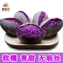 Weight loss to eat 0 fat food sandy now Dig Fresh Purple Sweet Potato Purple Sweet Potato Violet Ground Melon Fresh Vegetables