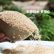 Brown Rice New Rice Fitness Substitute Grain Rice Brown Rice Coarse Grain Staples Pregnant Women Grain Cereals Qianyi Agricultural Fragrance