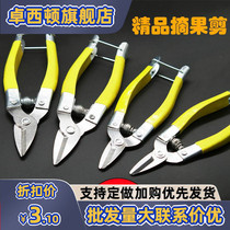 Pruning shears pruning shears pruning shears pruning shears pruning shears pruning shears pruning shears pruning shears pruning shears pruning shears pruning shears pruning shears pruning shears pruning shears pruning fruit picking pruning fruit picking horticulturists