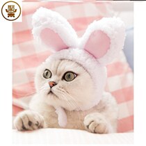 Cat bath earrings hair headgear cat with small hat performance props rabbit funny decoration small and medium