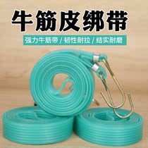Motorcycle trunk tight bandage motorcycle strap trunk strap strap strap strap tie rope Electric