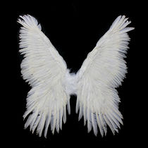 Wings Props Butterfly Angels Feather Festivals Party Dress Costumes Walk Show Inner Clothes Show Stage Children Gift