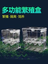 Fish tank incubator box guppies small fish box tropical fish breeding isolation box large and small fish isolators spawning