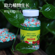 Green plant flower slow-release fertilizer nitrogen-phosphorus-potassium compound fertilizer household flower general-purpose controlled-release fertilizer succulent green radish fertilizer