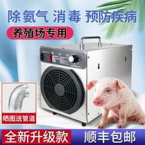 Ozone Generator of Ammonia Purifier Ozone Purifier in Ambient Air Pig Farm
