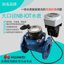  NB-lot Large diameter water meter Wireless connection remote water meter backpack design LoRa GPRS NB-LOT