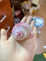 Consignment of crab handmade replacement shells: Euroberms