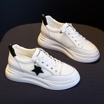 Long Short Shoes Customized Shoes Customized High and Low Footwear Shoes Width and Fertilized Summer Web Summer Web Shoes