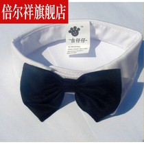 Golden retriever teddy collar tie bow tie bow tie pet large dog small dog dog ornament puppy scarf