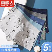 South Pole Pure cotton antibacterial underpants mens all-cotton breathable flat angle pants Young students Four corner short pants underpants underpants