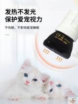 Pet Kitty Warmer Cat Cat Pooch Heating Cat Dog Kennel With Winter Mini Mini Kitten Thermostatic Electric Heater