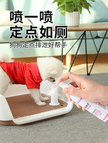 Pooch toilet-inducing agent bowels in position point defecation training toilet liquid pet urinalurine pull poop poo poo