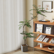 Sen space simulation green plant soft decoration jacaranda light luxury high-end plant decoration cream log decoration fake tree potted plant