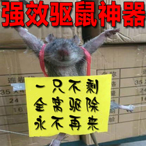 Rat-repellent MOUSE CREAM (One News Run) Strong effect Repelling Rat Car Exclusive Safety Powerful Driving Away Rat Home