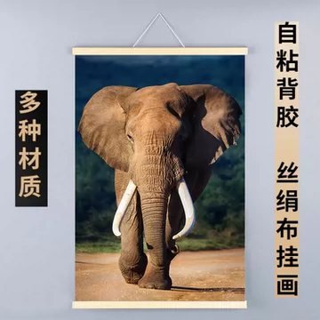 大象壁画挂画-大象壁画挂画促销价格、大象壁画挂画品牌- 淘宝