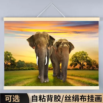 新品·縁起象、壁画、背景、掛画 大象壁画挂画-大象壁画挂画促销价格、大象壁画挂画品牌- 淘宝