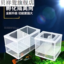 Fish Tank Aquarium Water Isolated Net Propagation Hatchbox Peacock Fish Paparazzi hatchbox Breeding Box Suspension