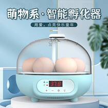 Egg incubator childrens automatic smart mini small household incubator bird egg box rutin parrot chicken duck Luding