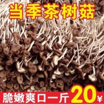 500g Fresh Farmhouse Tea Tree Mushrooms Dry Goods Not Open Umbrella Tea Pay Mushrooms 250g Non-special Mushrooms Mushroom special-production