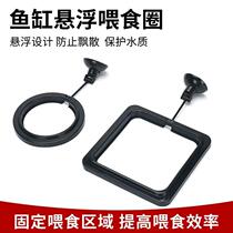 Duckweed fixed ring feeding ring feeding fish food fish tank large buoyancy suspension floating feeder fish tank goldfish