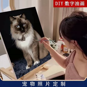 数字画填色diy油画猫咪-数字画填色diy油画猫咪促销价格、数字画填色diy