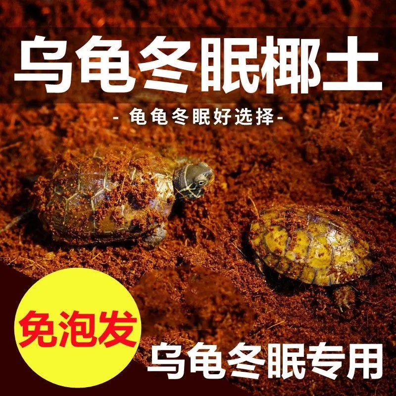 乌龟冬眠土怎么选?爬宠椰土免泡巴西龟草龟角蛙寄居蟹过冬保暖苔藓饲养箱全攻略-保暖服装-淘宝好物网