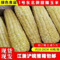 Northeast fresh sticky glutinous sweet corn 40 No. 1 white corn frozen sweet glutinous corn cob whole box
