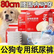 Large canine dog physio pants paper diaper pant dog used urine not wet male dog can excreted puppies old dog puppies