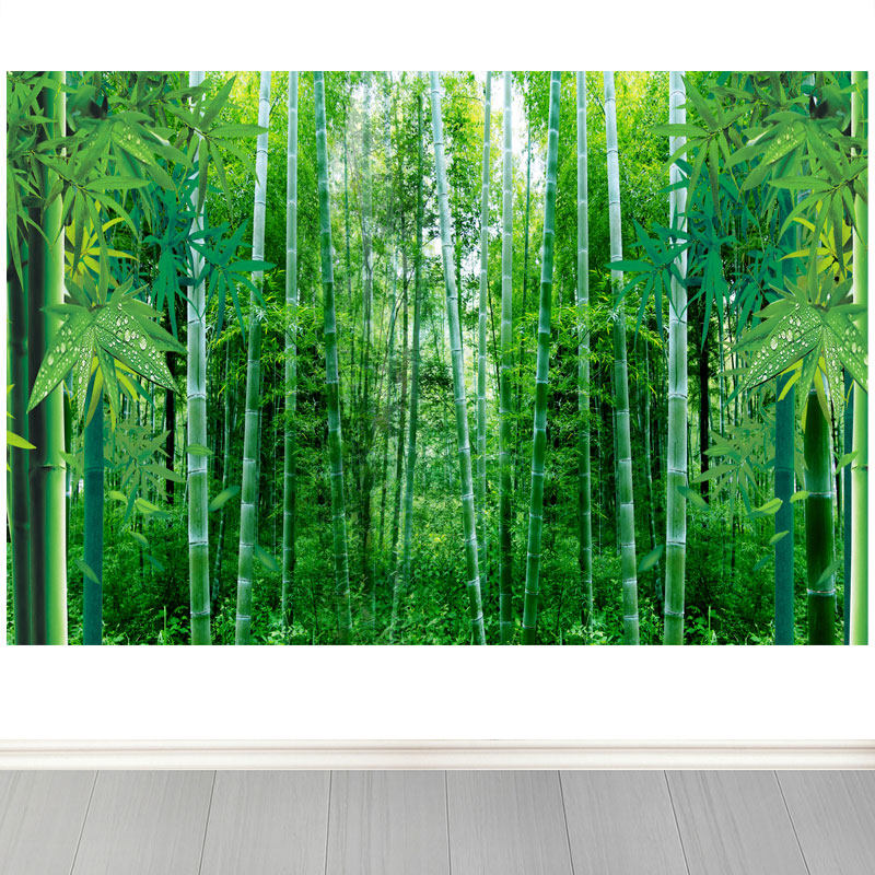 山水竹林 竹林山水画-竹林山水画促销价格、竹林山水画品牌- 淘宝