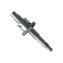 Ball screw pair BSSR BSSRK BSSE1204 1505 1510 2005 2010 2020 2505