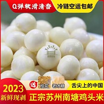Big grain chicken rice farmers produce 2023 Suzhou chicken head shop back over 1 kg 2 kg