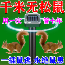 Driving Squirrel God-Ware Farmland Orchard Anti-Bird Rabbit Rat special exorcist Solar ultrasound to scare the rat Kstar